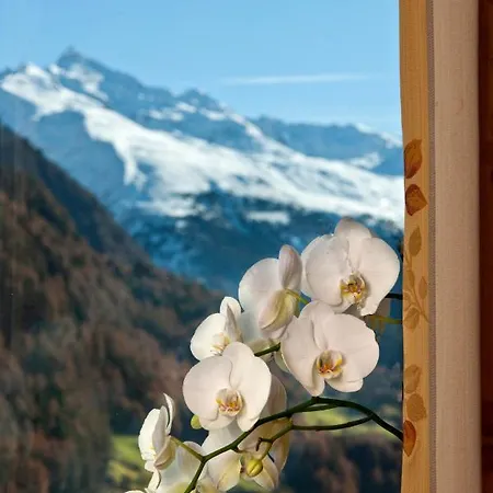 Alp Tiroler Adler